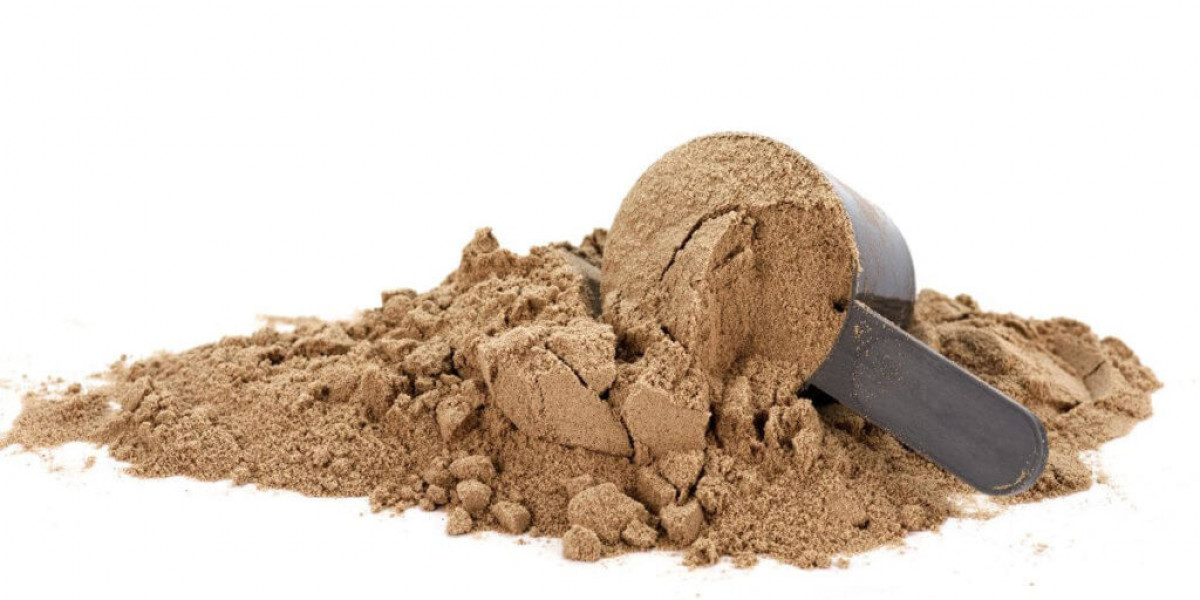 Vegan Protein Powder Market: In-Depth Market Research