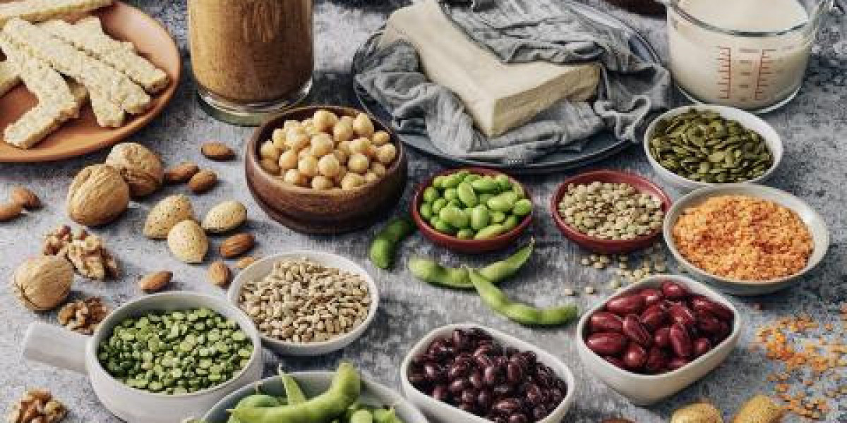 Plant-based Protein Market Developments: Shaping the Future of Sustainable Nutrition