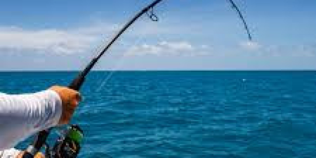 Fishing Rods Market sales booming with influencer marketing driving brand loyalty among anglers