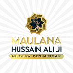 Maulana Hussain Ali Profile Picture
