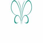 chrysalis yacht design Profile Picture