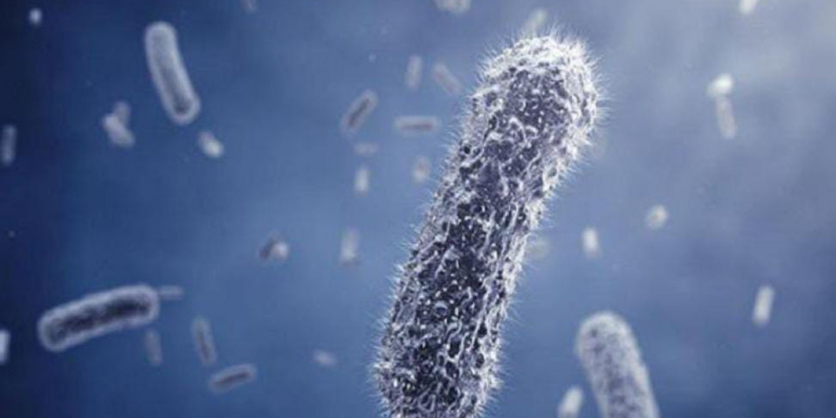 Green Chemistry in Action: Exploring the Growth and Potential of the U.S. Biosurfactants Market