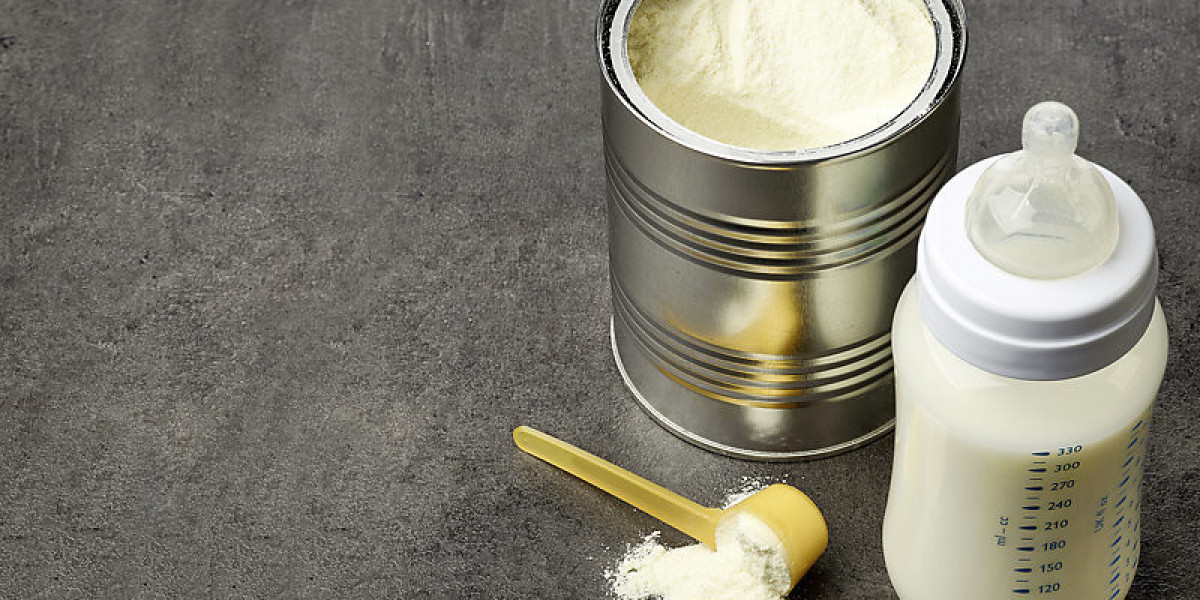 Plant-Based Infant Formula Market Long-Term Outlook: Growth Drivers and Future Opportunities
