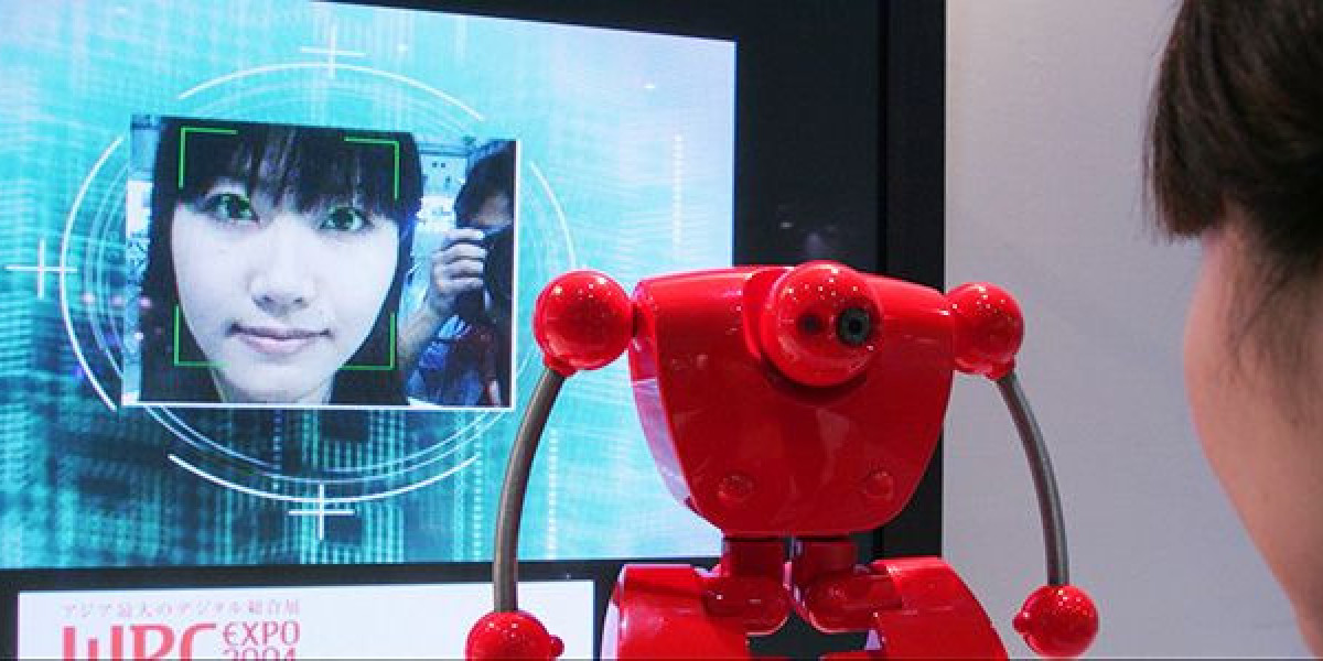 The Rising Tide of Big Data in Japan: Key Trends and Future Opportunities