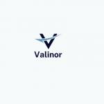 valinorfinance Profile Picture