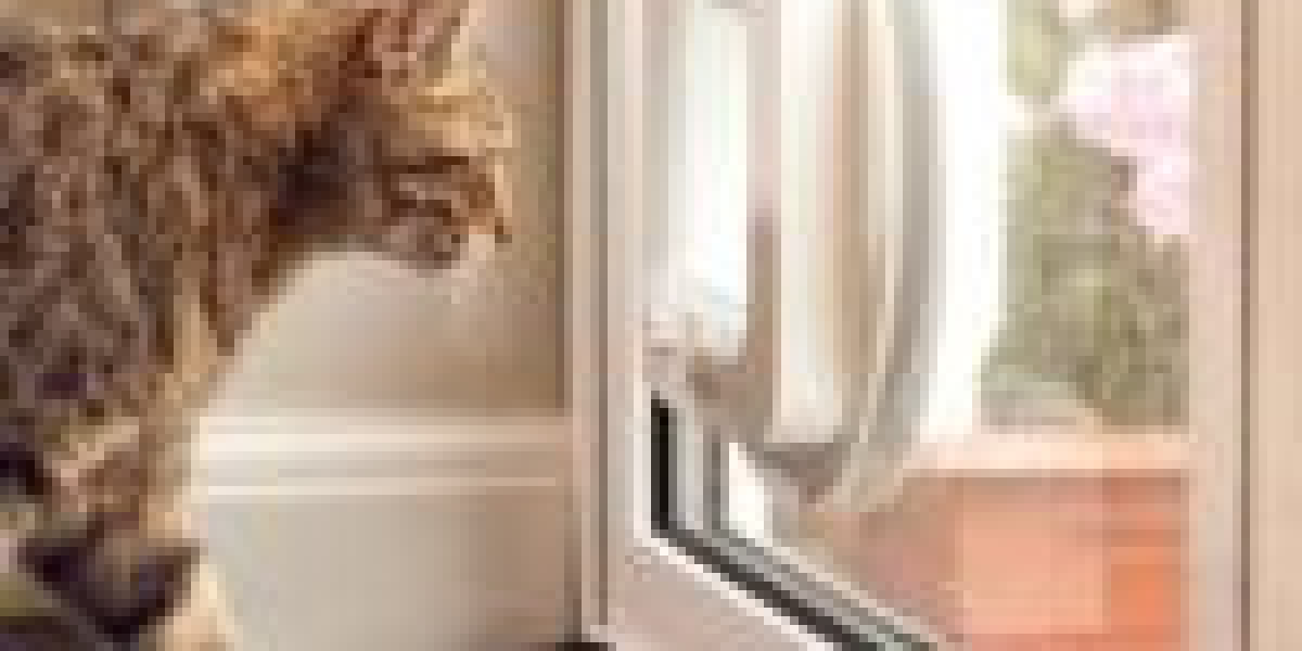 Are You Responsible For The Professional Cat Flap Installer Budget? Twelve Top Ways To Spend Your Money