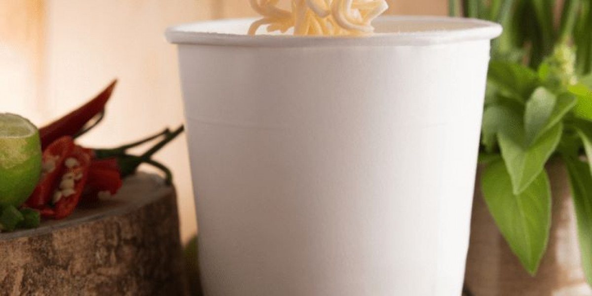 Cup Noodles Market Research: Comprehensive Analysis of Consumer Trends, Growth Drivers, and Industry Insights