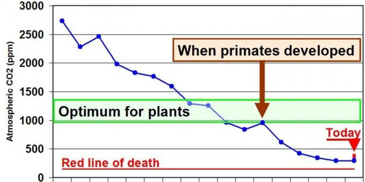 10 Fascinating Facts About Temperature You Should Know