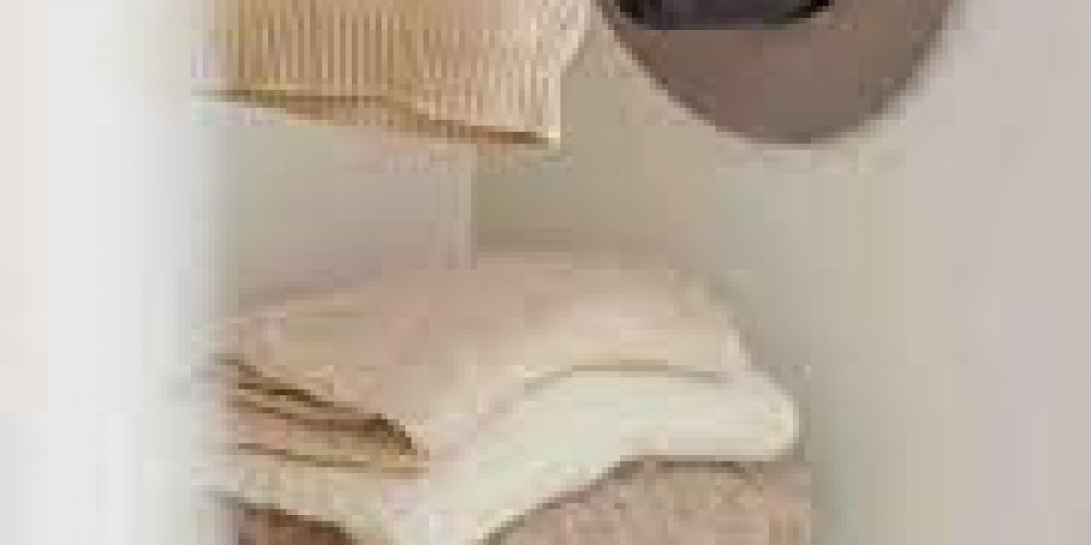 Fabric Conditioners Market Product Development Trends Focused on Sustainable Packaging Solutions